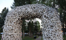 将图片加载到图库查看器,(团号:MB6)【银榜惠享】大提顿国家公园+黄石国家公园+总统山+疯马巨石+盐湖城 6日游