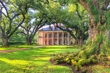 将图片加载到图库查看器,(团号:ATLMSY8-A)亚特兰大-新奥尔良 好客美南系列 8日游