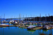 将图片加载到图库查看器,(团号:SF1 )【银牌惠享】旧金山市区游一日游